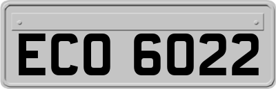 ECO6022