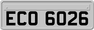 ECO6026