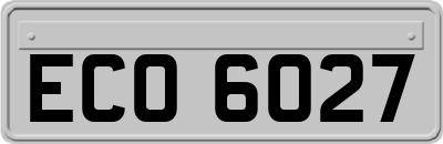 ECO6027