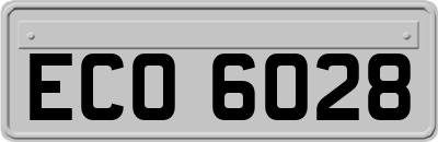 ECO6028