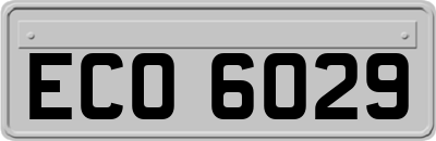 ECO6029