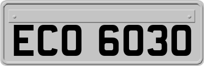 ECO6030