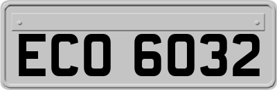 ECO6032