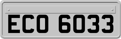 ECO6033