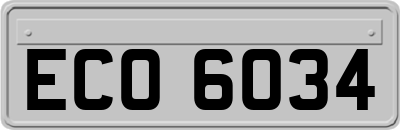 ECO6034