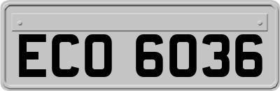 ECO6036