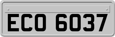 ECO6037