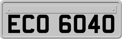 ECO6040