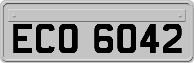 ECO6042