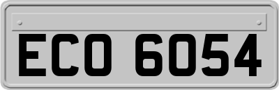 ECO6054