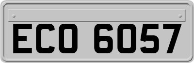 ECO6057