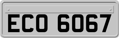 ECO6067
