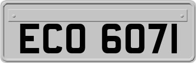 ECO6071