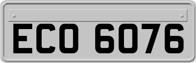 ECO6076