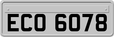 ECO6078