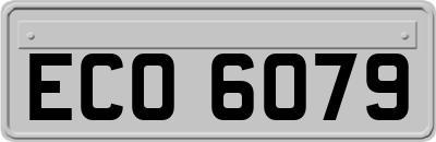 ECO6079