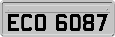 ECO6087