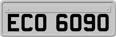 ECO6090