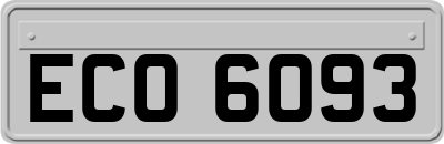 ECO6093