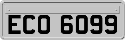 ECO6099