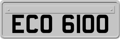 ECO6100