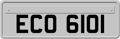 ECO6101