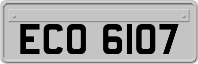 ECO6107