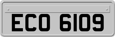ECO6109