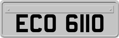ECO6110
