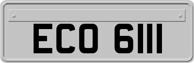 ECO6111