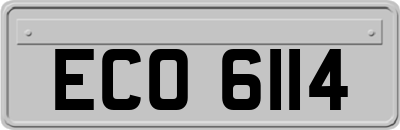 ECO6114