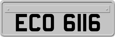 ECO6116