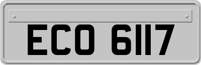 ECO6117