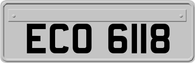 ECO6118