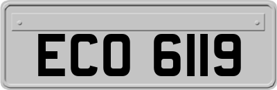 ECO6119