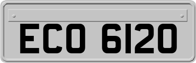 ECO6120