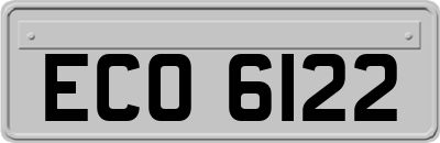 ECO6122