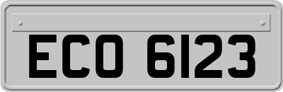 ECO6123