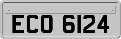 ECO6124