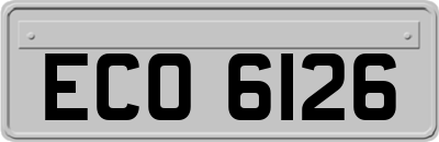 ECO6126