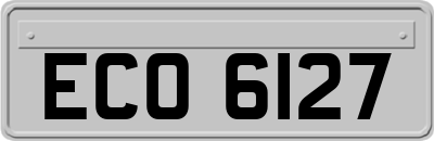 ECO6127