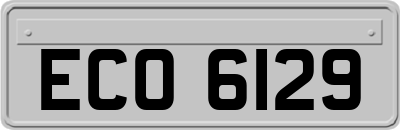 ECO6129