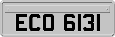 ECO6131