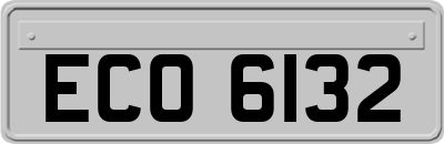 ECO6132