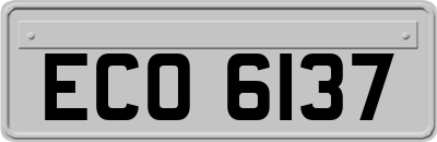 ECO6137