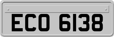 ECO6138