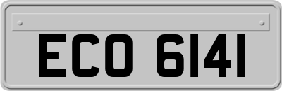 ECO6141
