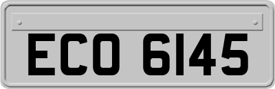 ECO6145
