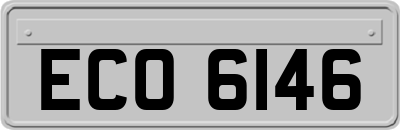 ECO6146