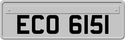 ECO6151